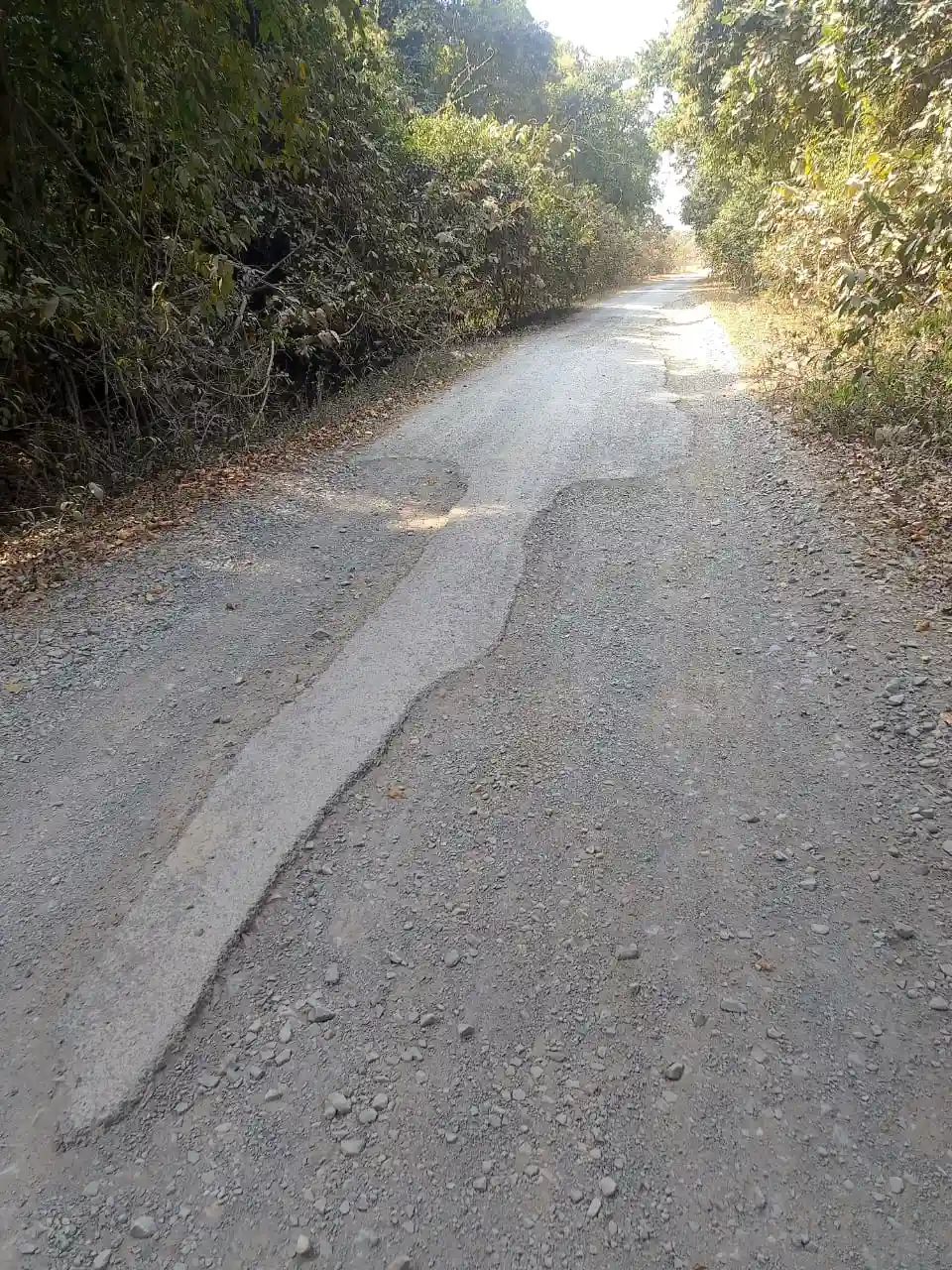 वंचालन क्षेत्र के लोग करेंगे स्कूल से अतिक्रमण हटाने और खराब सडक़ की दुर्दशा को लेकर मुख्य मार्ग पर चक्का जाम